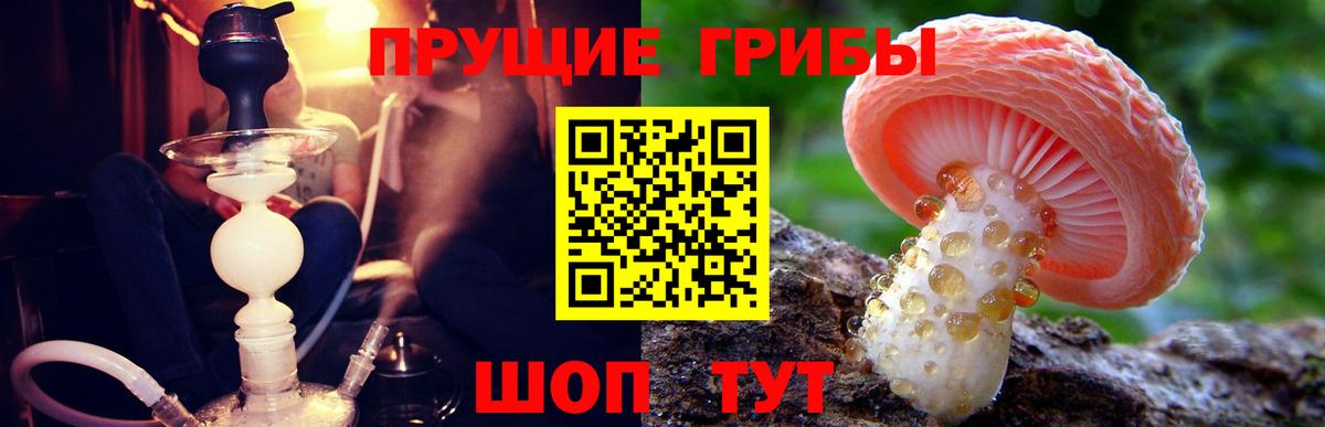 Псилоцибиновые грибы мицелий Ростов-на-Дону